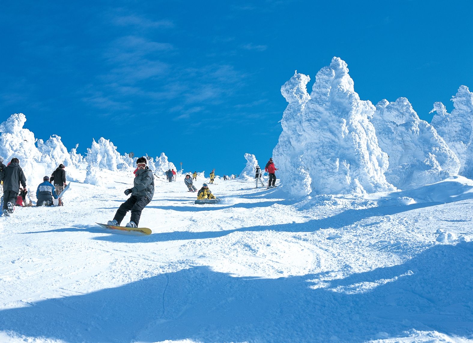 blog image